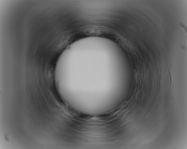 X0000097820460200803140809