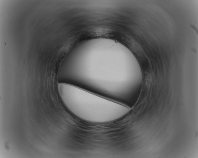 X0000097820461200803140809