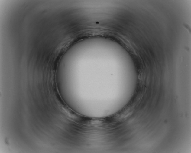 X0000097820462200803140810