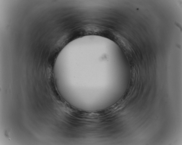 X0000097820463200803140810