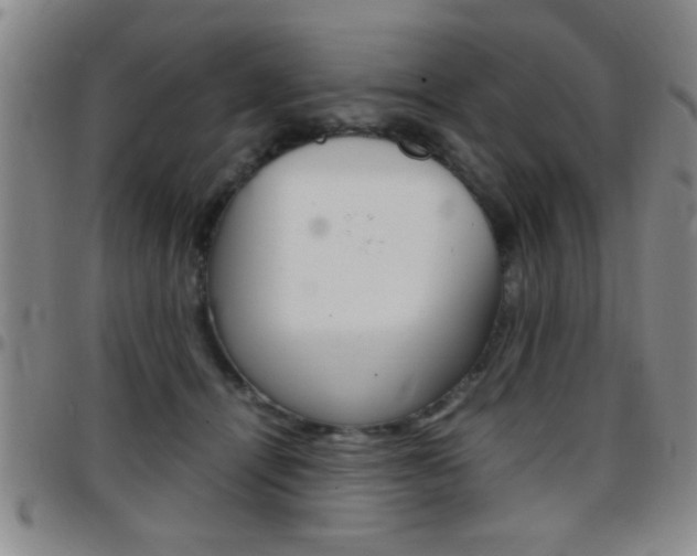 X0000097820464200803140810