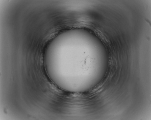 X0000097820466200803140810
