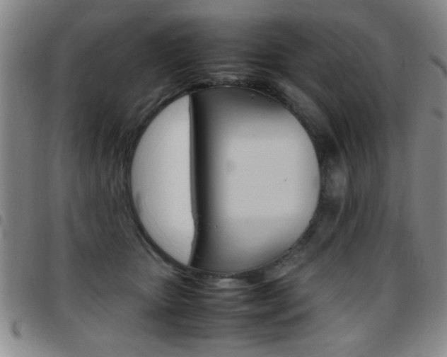X0000097820467200803140810