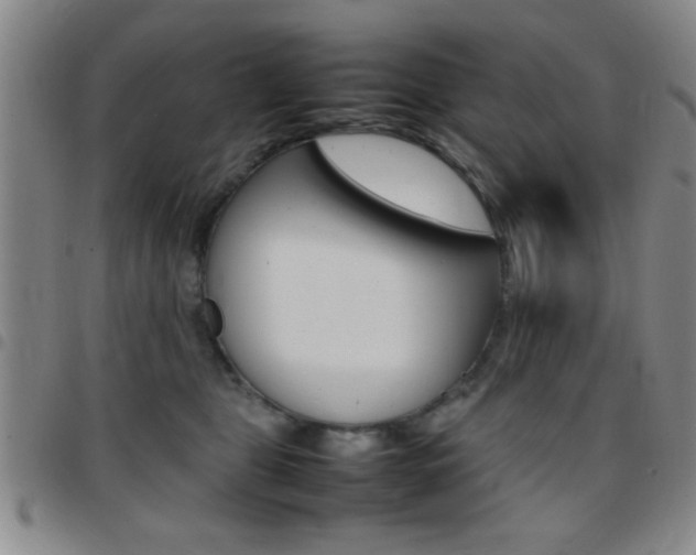 X0000097820469200803140810