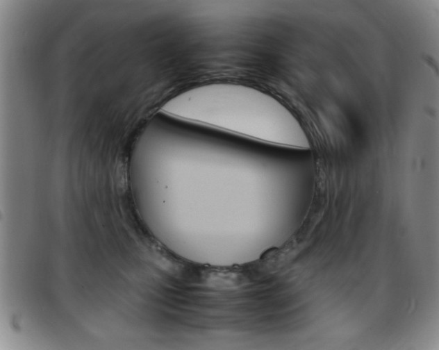 X0000097820471200803140810