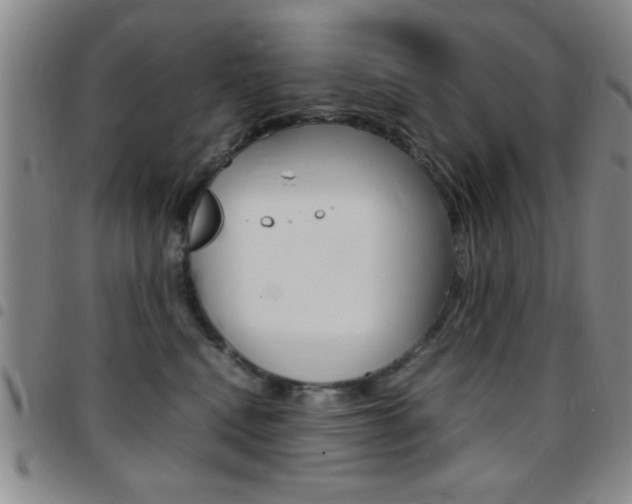 X0000097820472200803140810