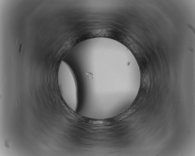 X0000097820473200803140810