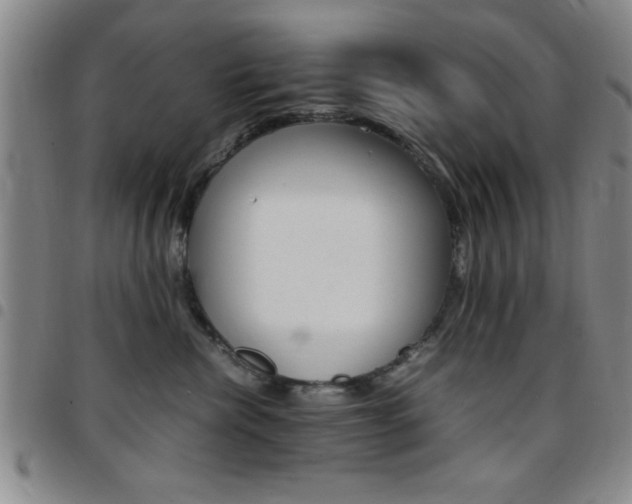 X0000097820476200803140810