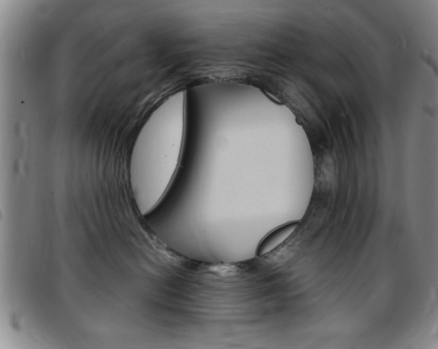 X0000097820478200803140810