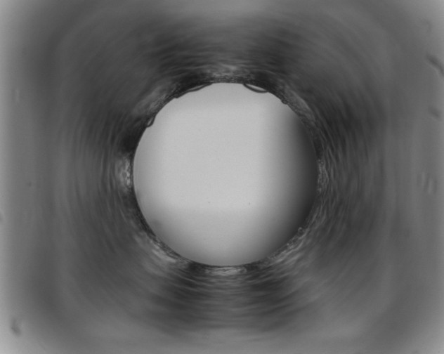 X0000097820479200803140810