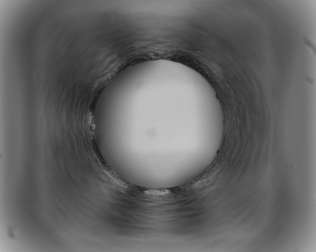 X0000097820480200803140810