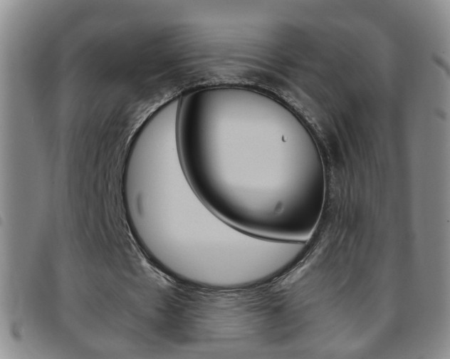 X0000097820481200803140809