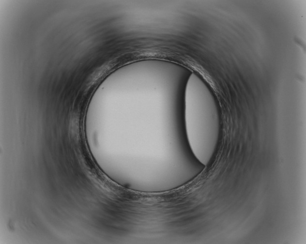 X0000097820482200803140809