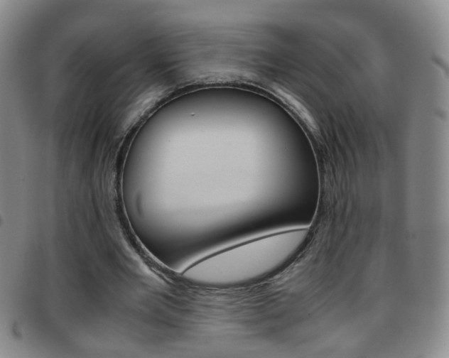 X0000097820485200803140809