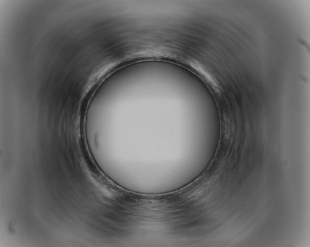X0000097820486200803140809