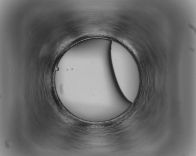 X0000097820487200803140809