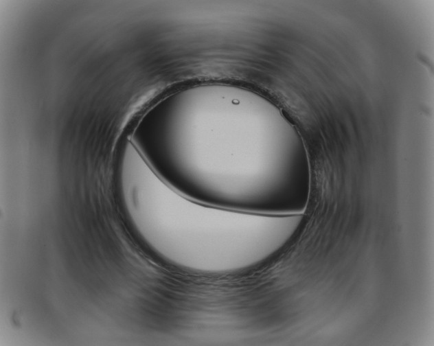 X0000097820488200803140809