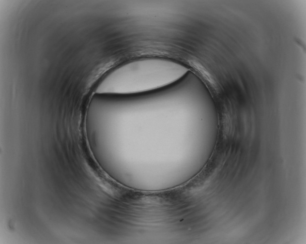 X0000097820490200803140809