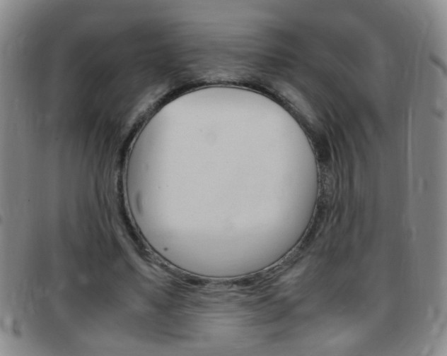 X0000097820491200803140809