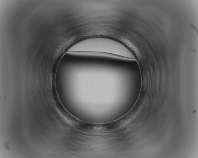 X0000097820493200803140809