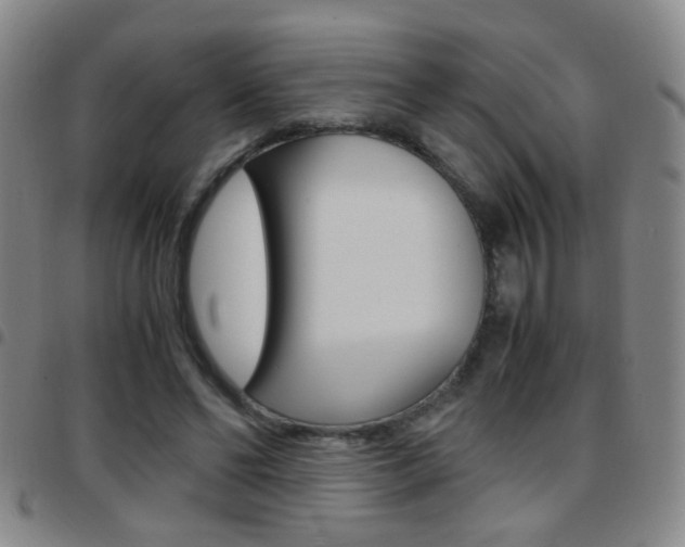 X0000097820494200803140809