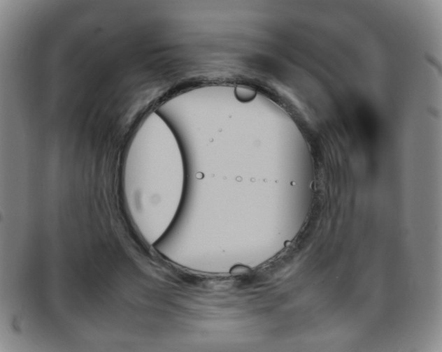 X0000097820495200803140809