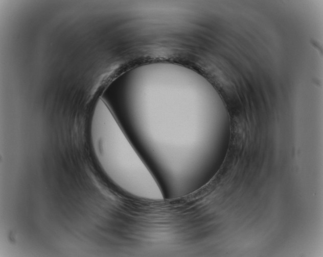 X0000097820496200803140809