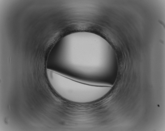 X0000097820497200803140809