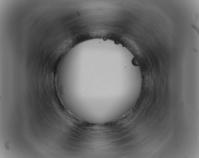 X0000097820498200803140809