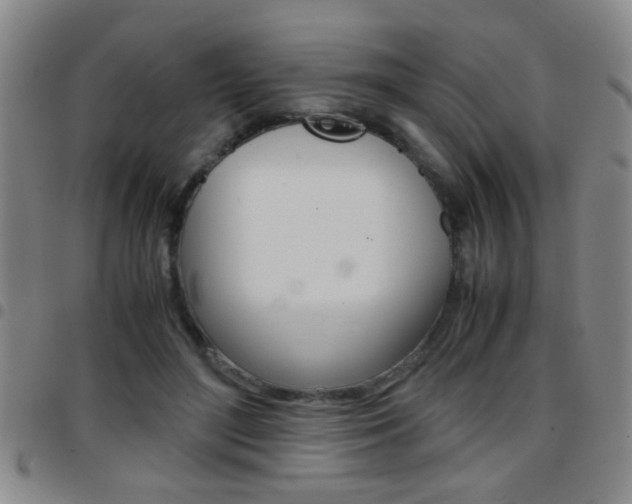 X0000097820500200803140809