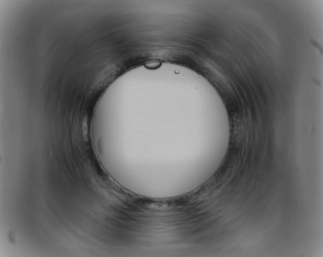 X0000097820502200803140809