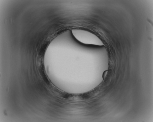 X0000097820503200803140809
