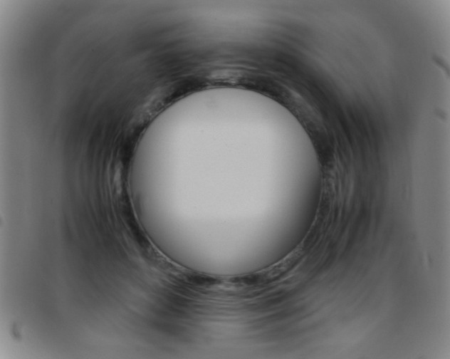 X0000097820504200803140809