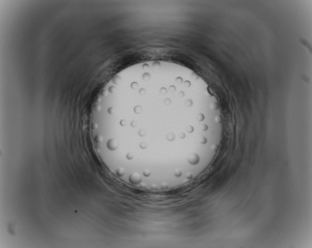 X0000097820507200803140809