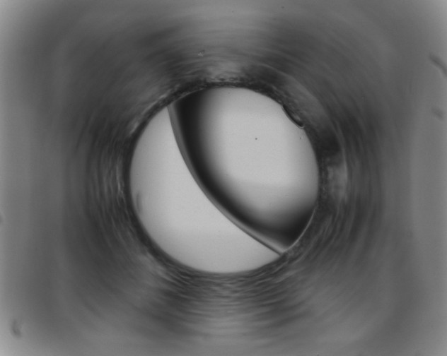 X0000097820508200803140809