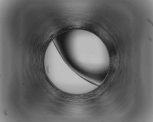 X0000097820509200803140809