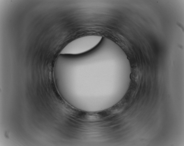 X0000097820510200803140809