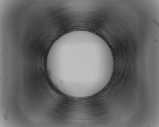X0000097820512200803140809
