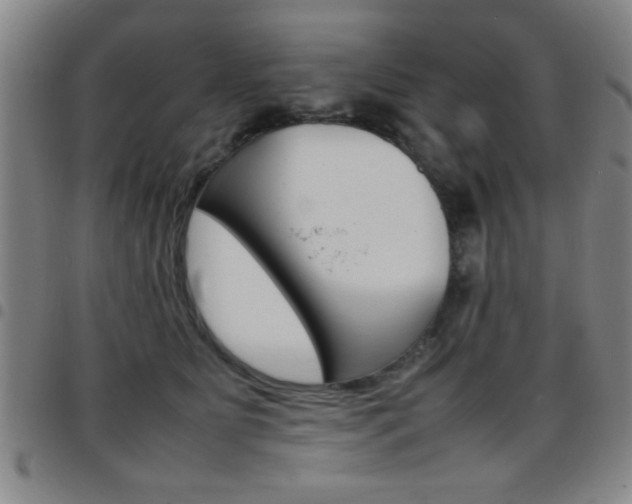 X0000097820515200803140808