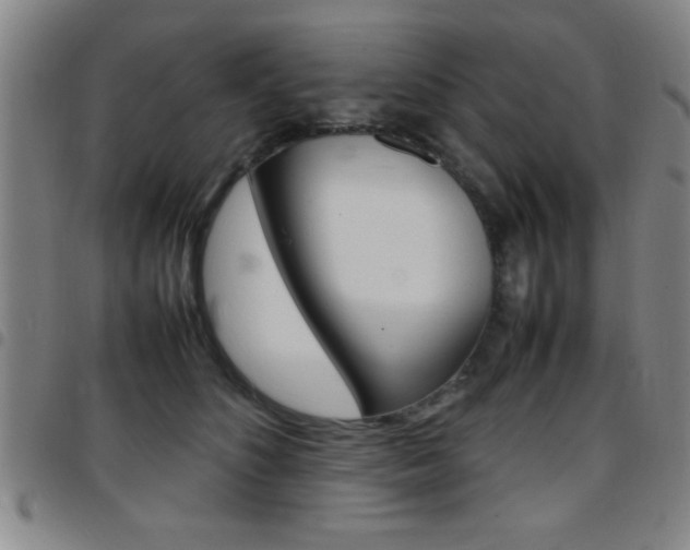 X0000097820516200803140808