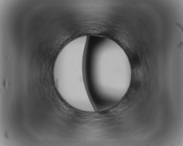 X0000097820517200803140808