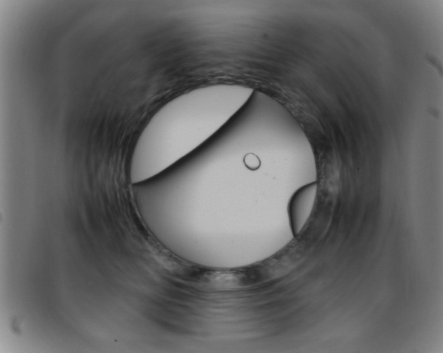 X0000097820518200803140808