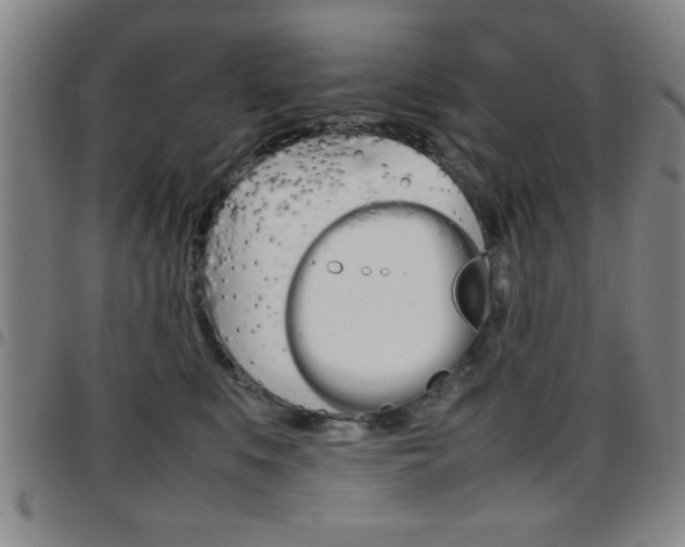 X0000097820519200803140808