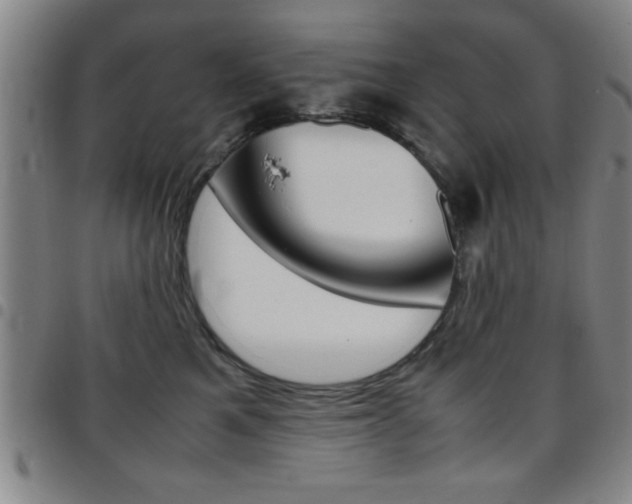 X0000097820521200803140808