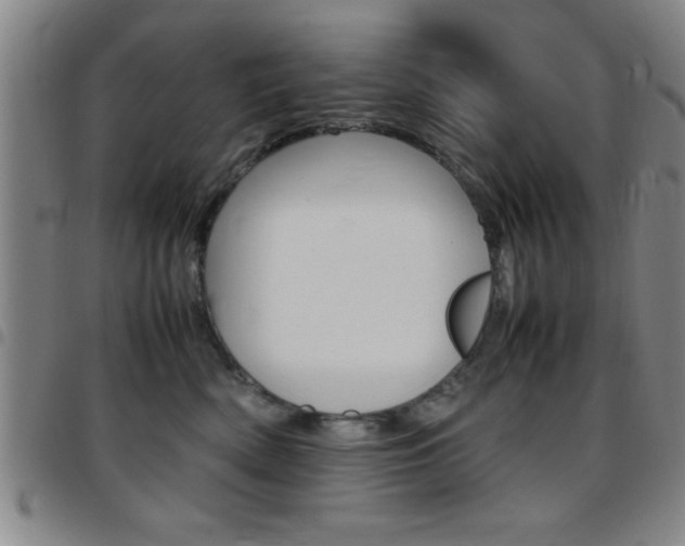 X0000097820522200803140808
