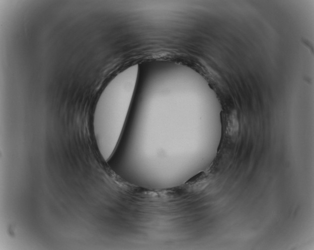 X0000097820524200803140808