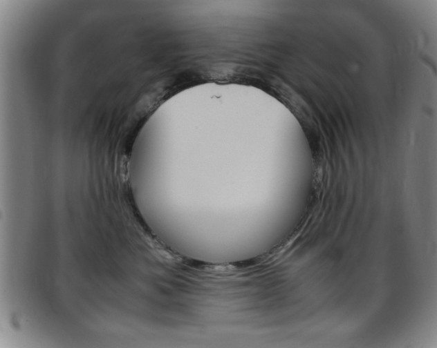 X0000097820525200803140808