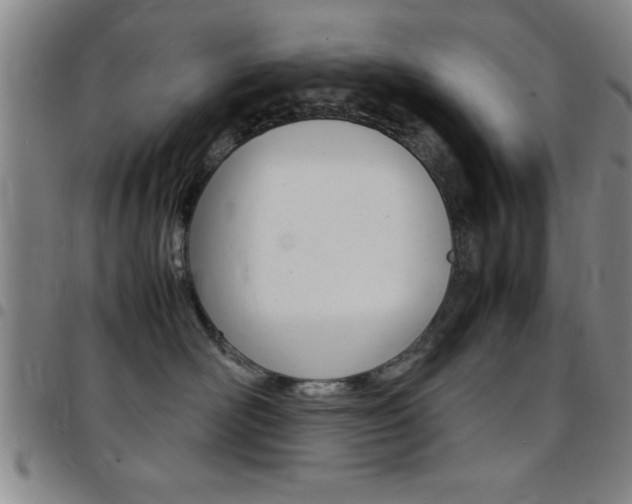 X0000097820526200803140808