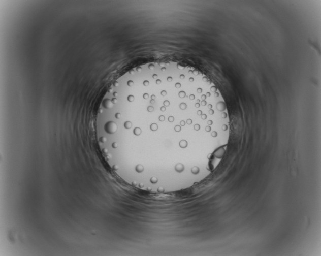 X0000097820527200803140808
