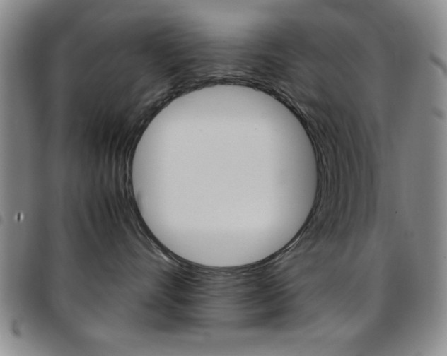 X0000097820528200803140808